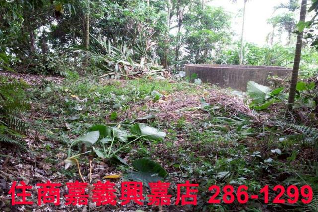 番路農地_林地-4