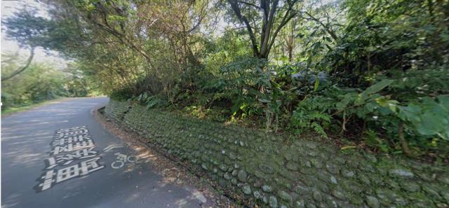 士林拍賣種菜地-12