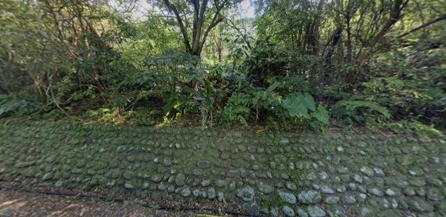 士林拍賣種菜地-9