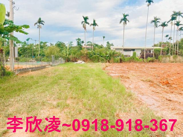 東區農地-4