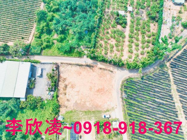 東區農地-8