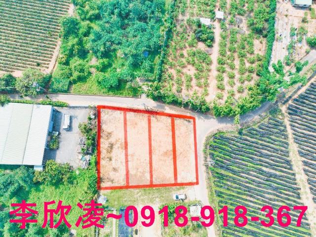 東區農地-0