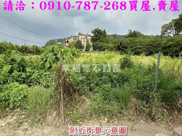 玉井農地-4