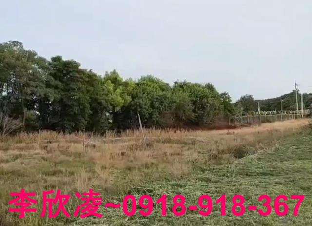 西區農地-1
