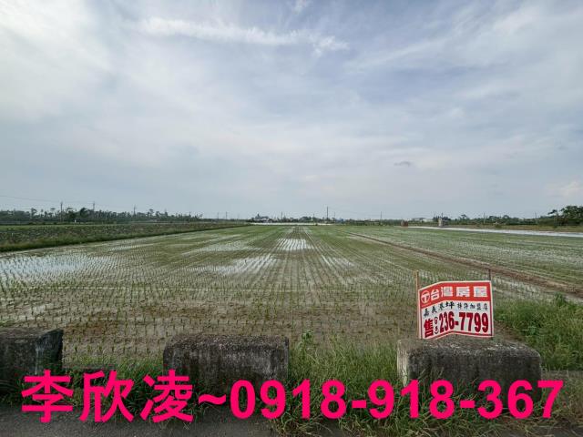 白河農地-1