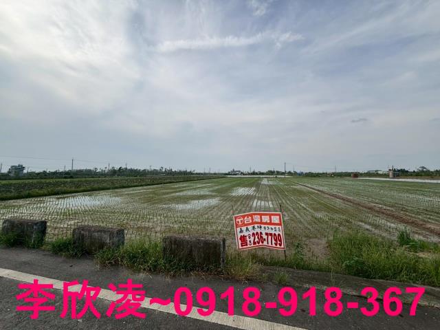白河農地-2