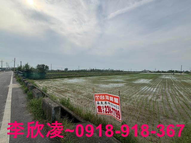 白河農地-3
