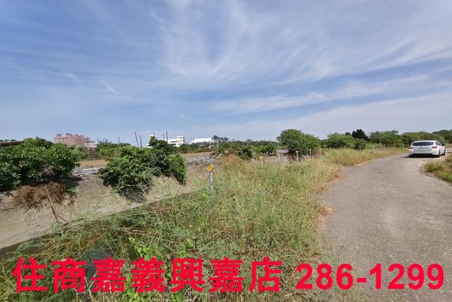 嘉義農地-0