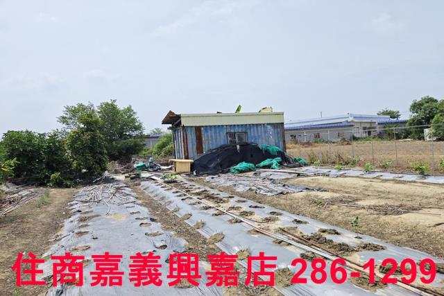 嘉義農地-4