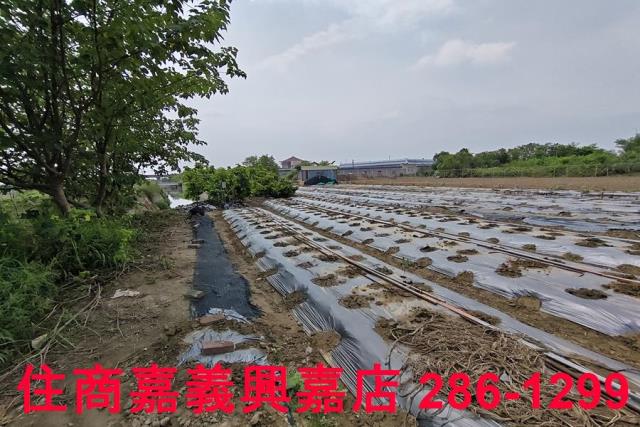 嘉義農地-6