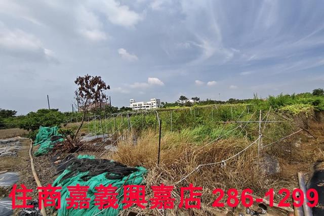 嘉義農地-8