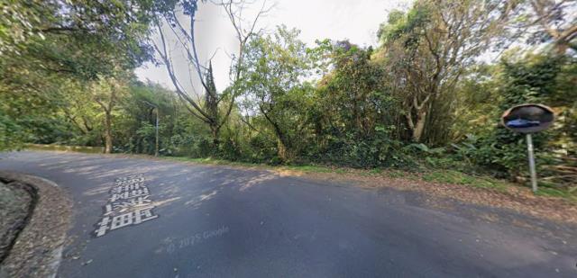 台北種菜地法拍-12