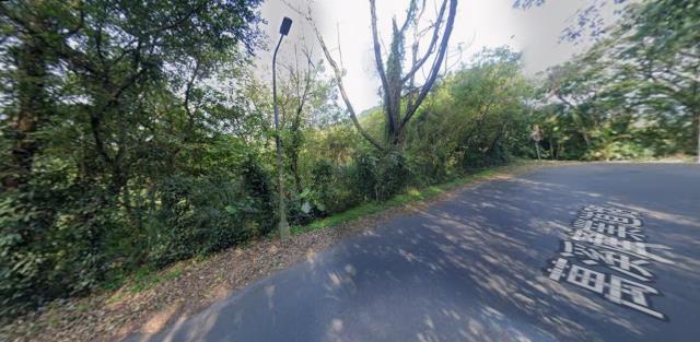 台北種菜地法拍-5