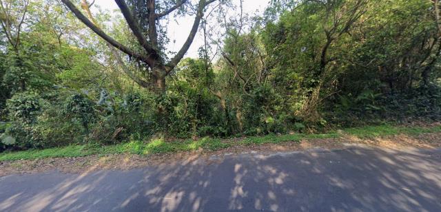 台北種菜地法拍-8