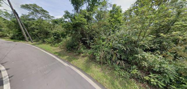 新北法拍農地_山坡地-12