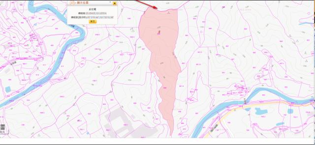 新北法拍農地_山坡地-3