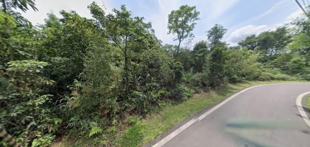 新北法拍農地_山坡地-5
