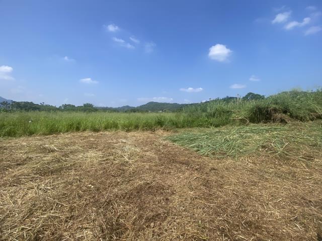 集集農地-2
