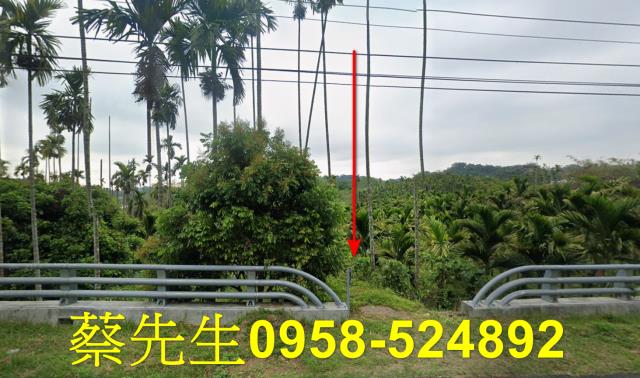 梅山法拍農地-9