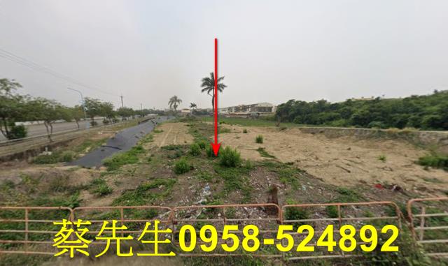嘉義義竹法拍農地-1