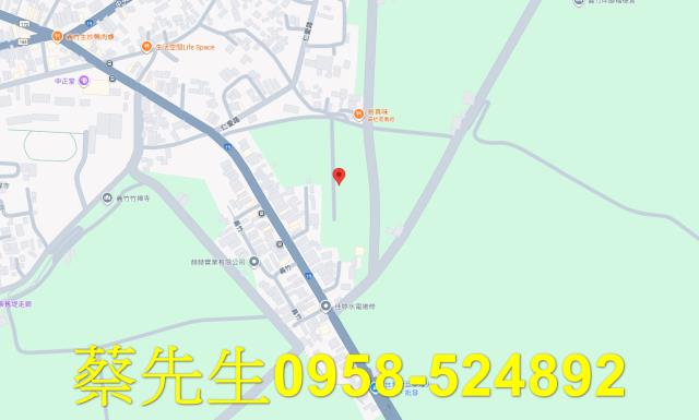 嘉義義竹法拍農地-8