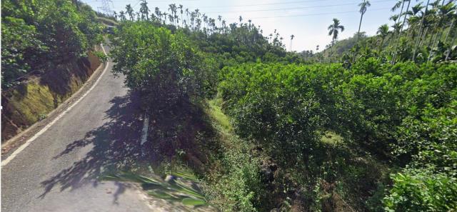 嘉義中埔農地法拍-4