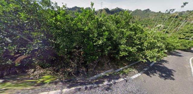 嘉義中埔農地法拍-9