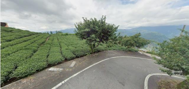 嘉義梅山農地拍賣-3