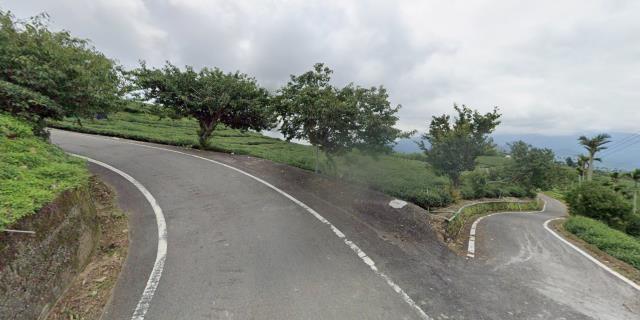 嘉義梅山農地拍賣-4