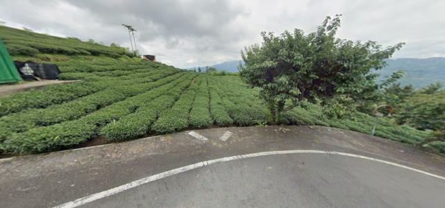 嘉義梅山農地拍賣-9