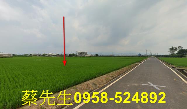 斗六農地拍賣-14