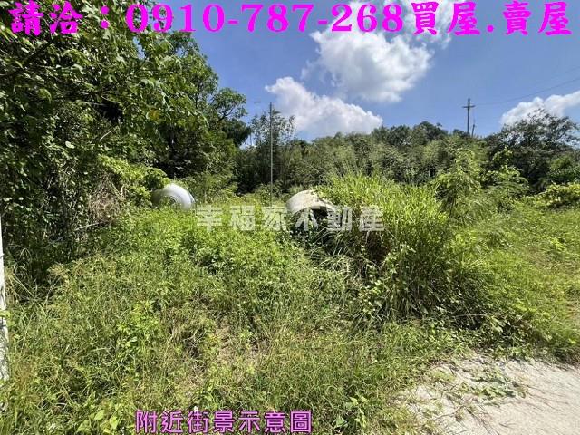 台南農地-10