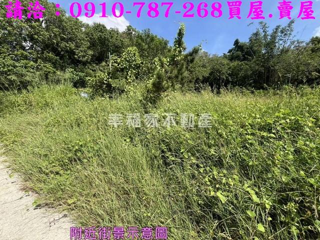 台南農地-12
