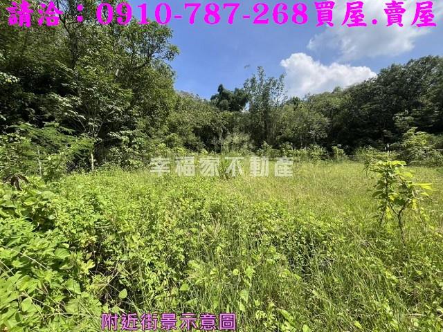 台南農地-13