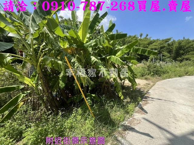 台南農地-14
