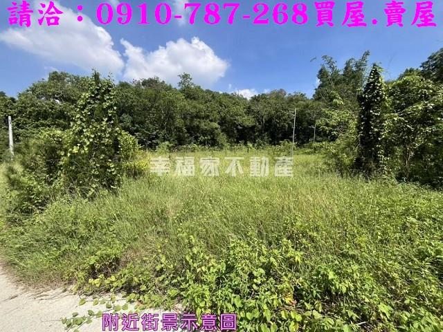 台南農地-6