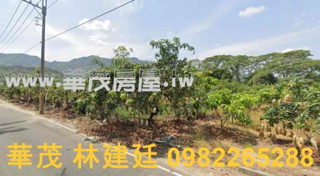 南化拍賣農地-2