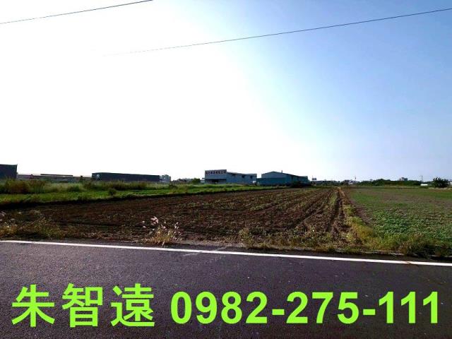 安定農地-2