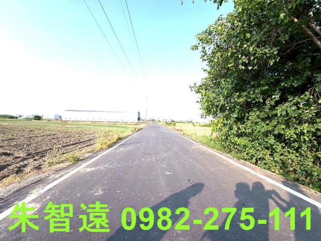 安定農地-4