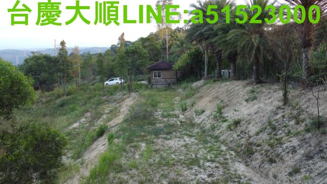 新埔農地-10