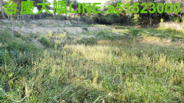 新埔農地-4