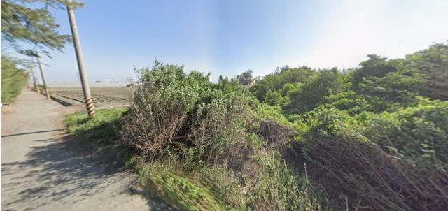 雲林法拍農地-15