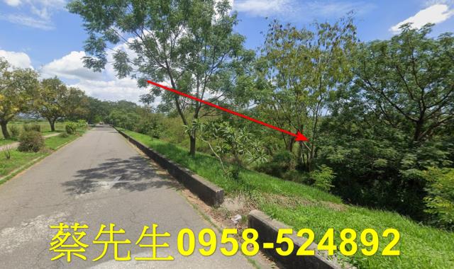 台南農地拍賣-12