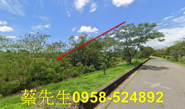 台南農地拍賣-14