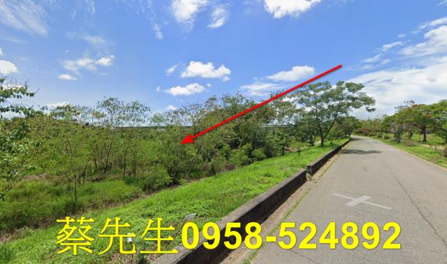 台南農地拍賣-7