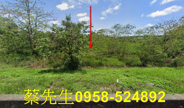 台南農地拍賣-9