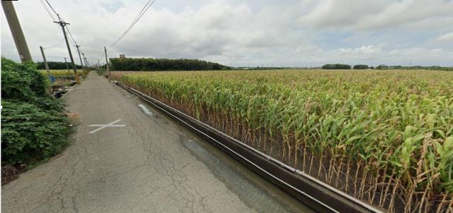 雲林東勢鄉農地法拍-12