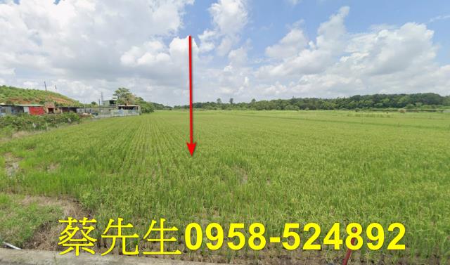 台南關廟農地法拍-9