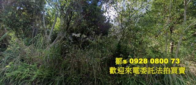 新北烏來農地法拍-9