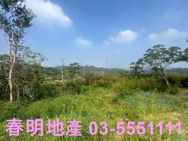 苗栗市農地-4